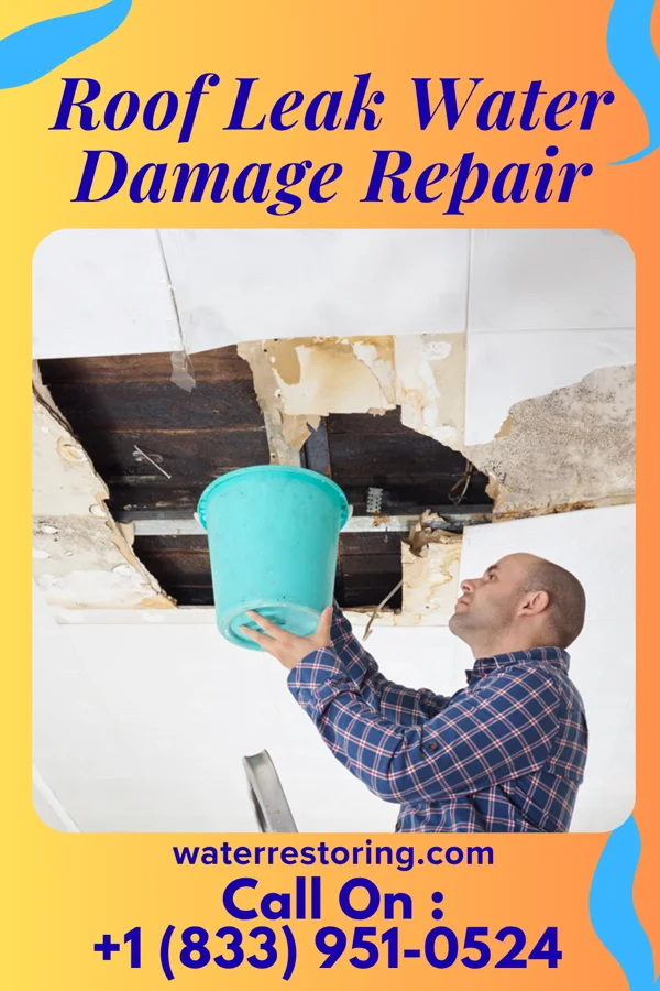 Roof Leak Water Damage Repair in Elmer City, WA