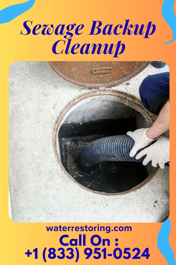 Sewage Backup Cleanup in Elmer City, WA